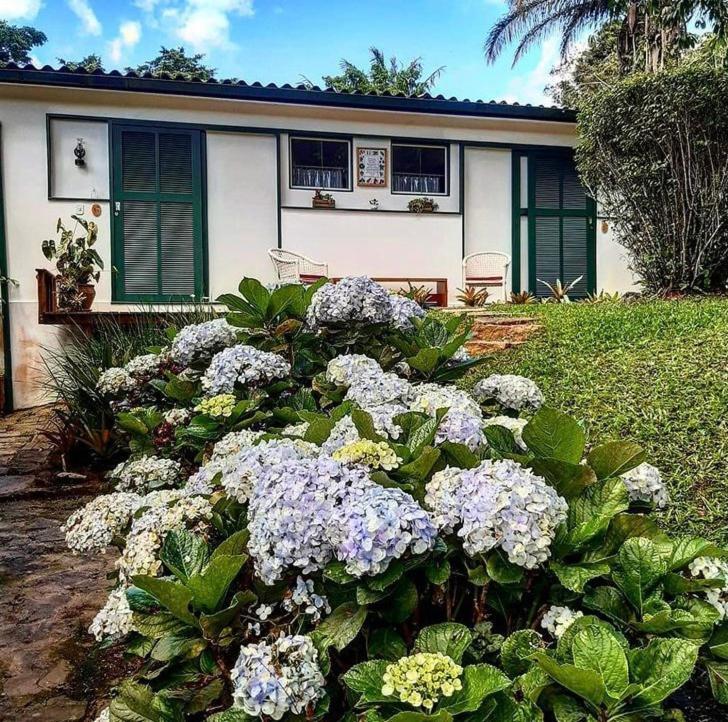 Pinheiros Do Rocio Hotel Petrópolis Eksteriør billede
