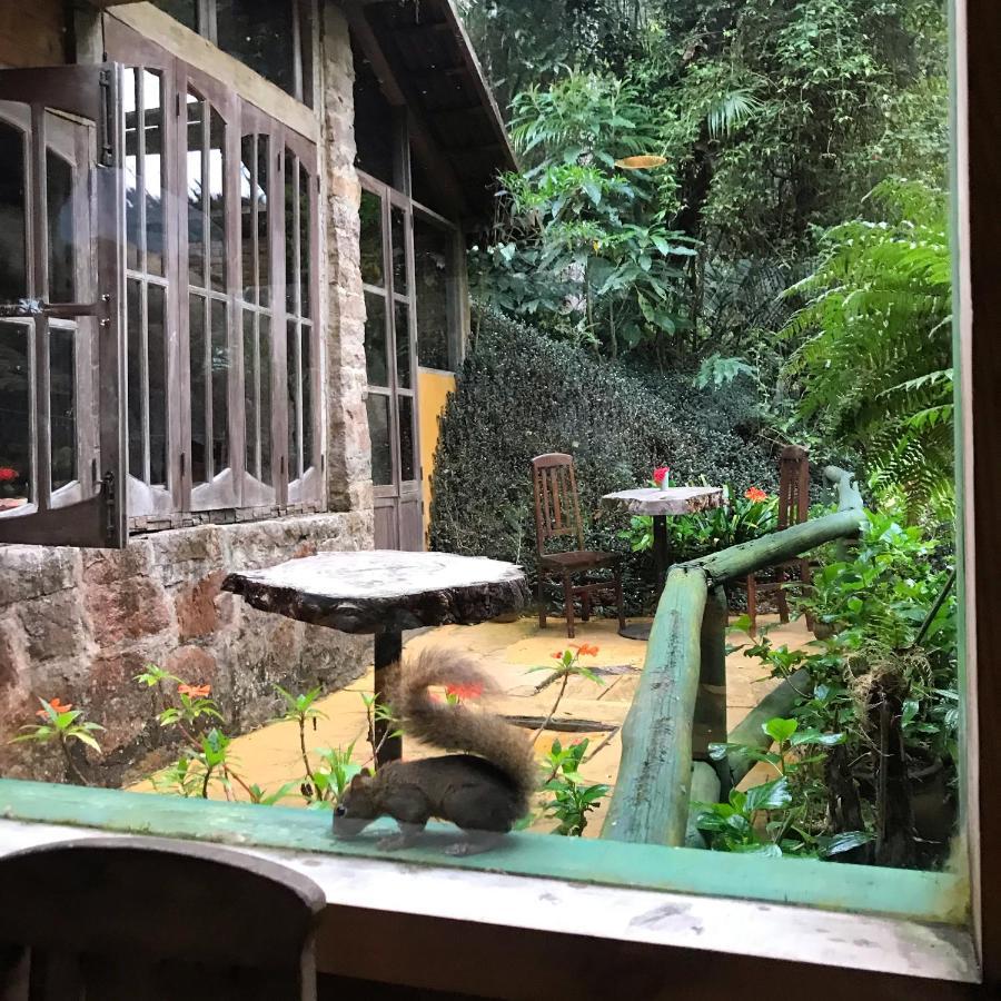 Pinheiros Do Rocio Hotel Petrópolis Eksteriør billede