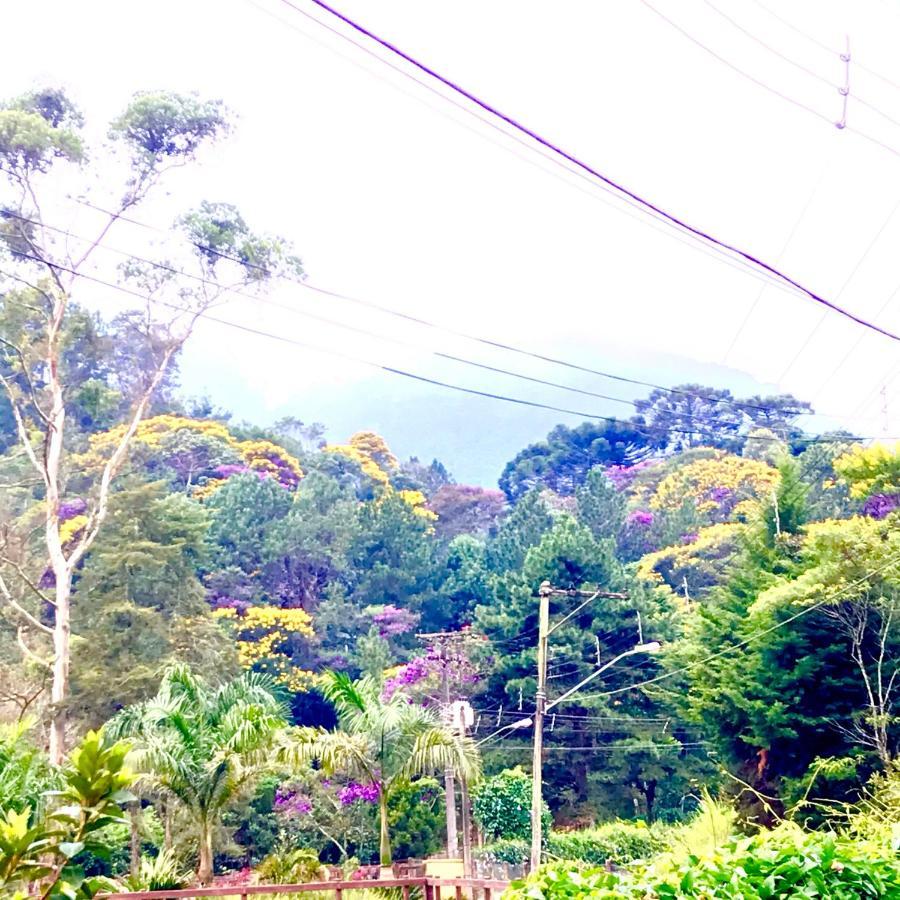 Pinheiros Do Rocio Hotel Petrópolis Eksteriør billede