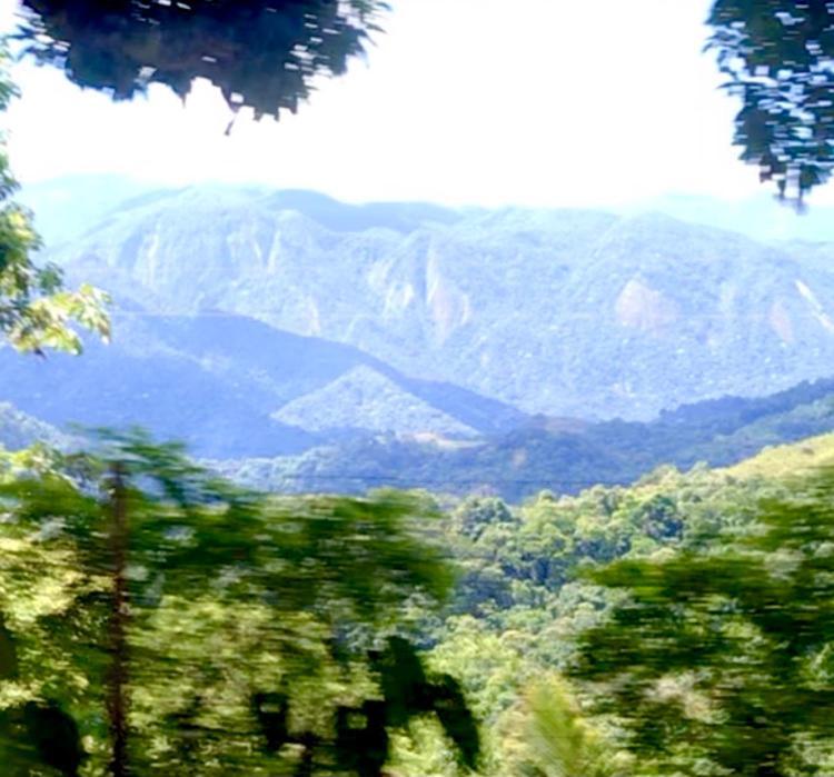 Pinheiros Do Rocio Hotel Petrópolis Eksteriør billede